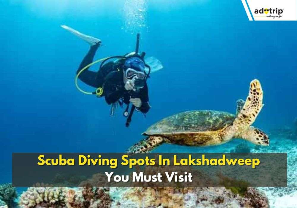 Scuba Diving In Lakshadweep